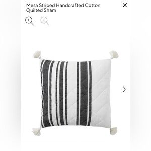 Pair of NEW PotteryBarn Mesa Tassel Stripe Cotton EURO Sham Black/Ivory -2 shams